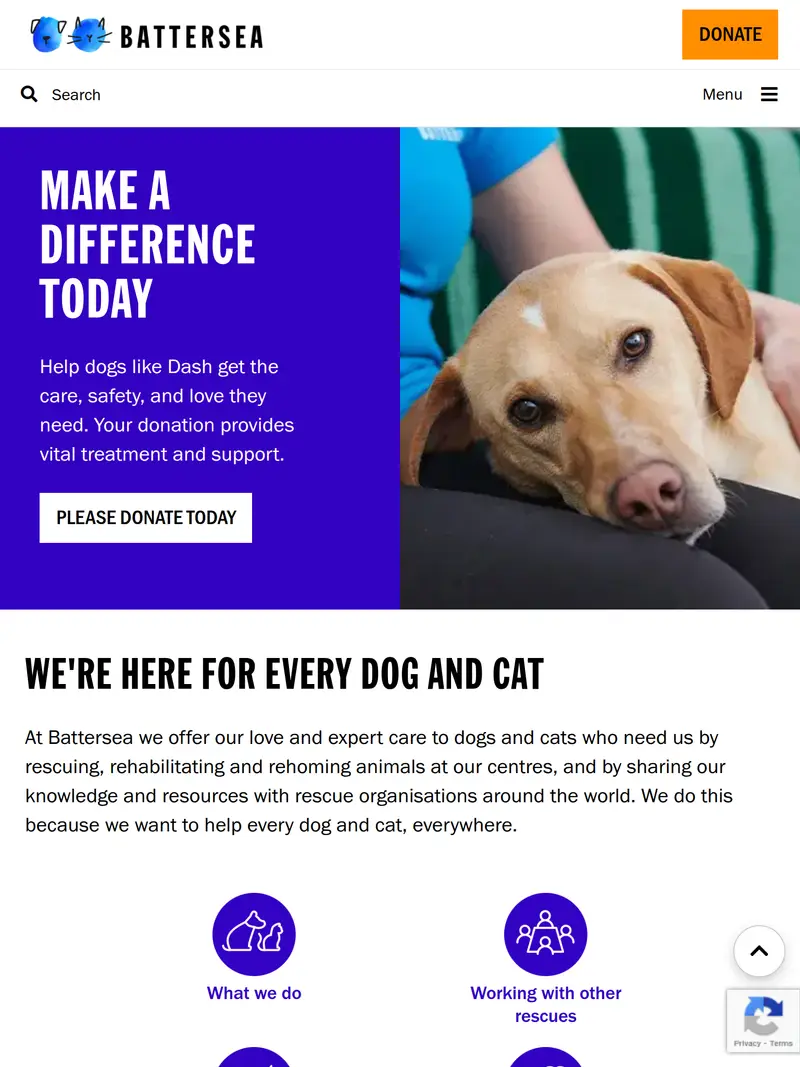 Battersea Dogs & Cats Home - homepage (tablet)