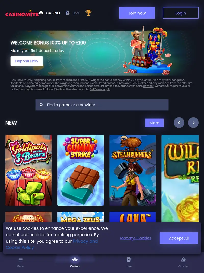 Casino Mite - homepage (tablet)