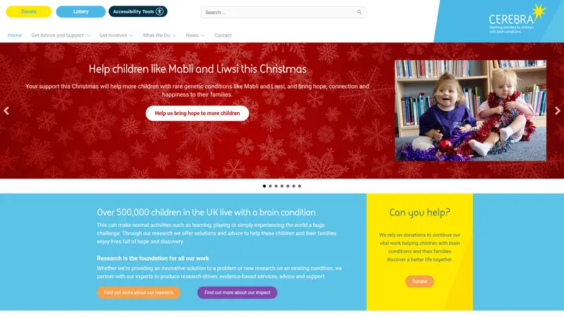 Cerebra - homepage (desktop)