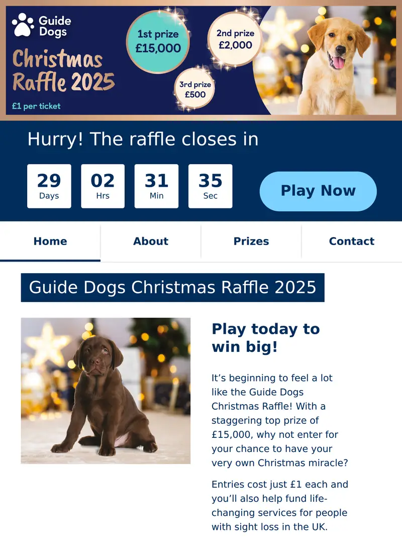 Guide Dogs Raffle - homepage (tablet)