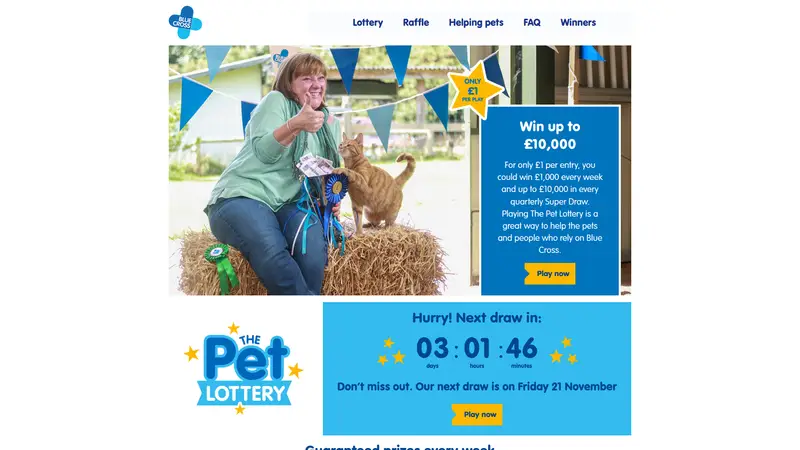 Blue Cross Lottery - homepage (desktop)