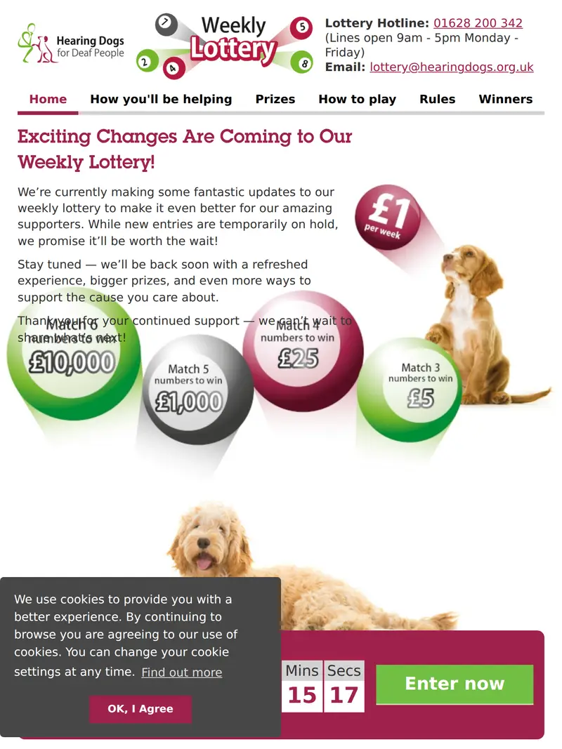 Lottery.hearingdogs - homepage (tablet)