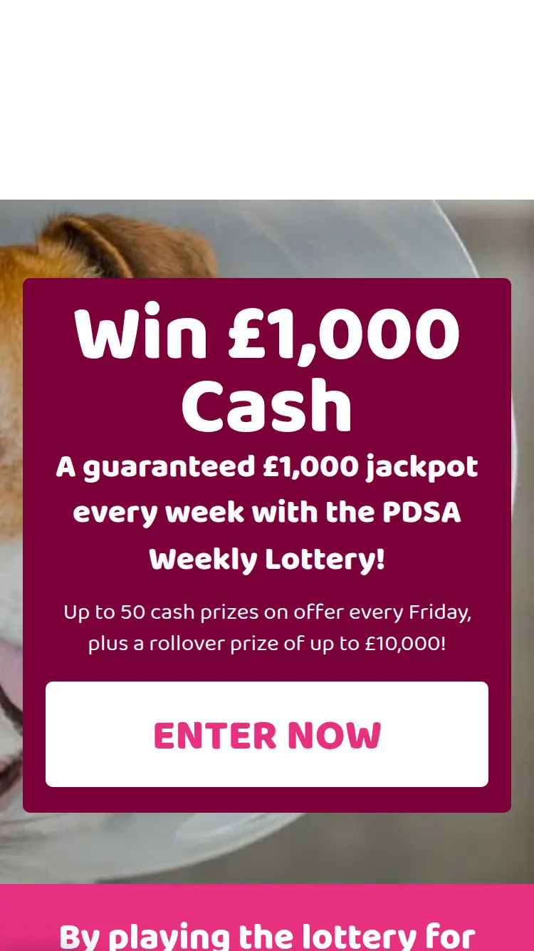 PDSA Lottery - homepage (mobile)