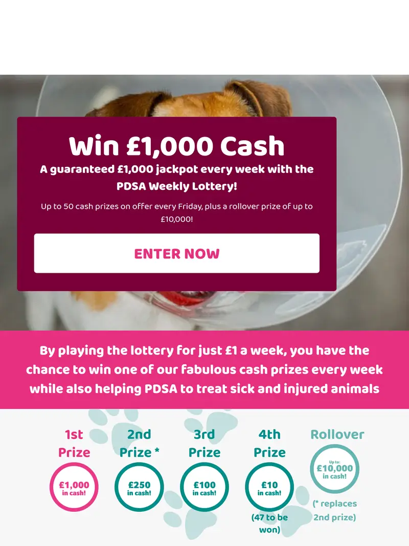 PDSA Lottery - homepage (tablet)
