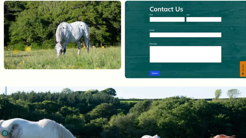 Mare and Foal - homepage (desktop)