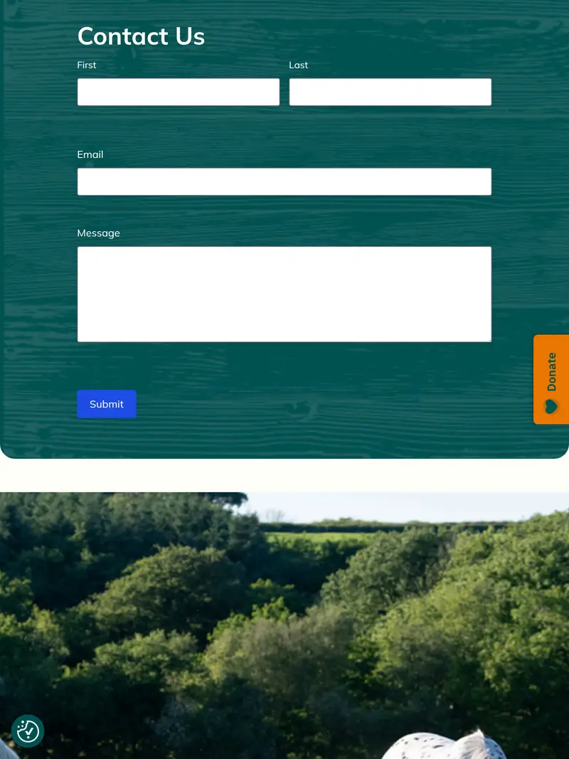 Mare and Foal - homepage (tablet)