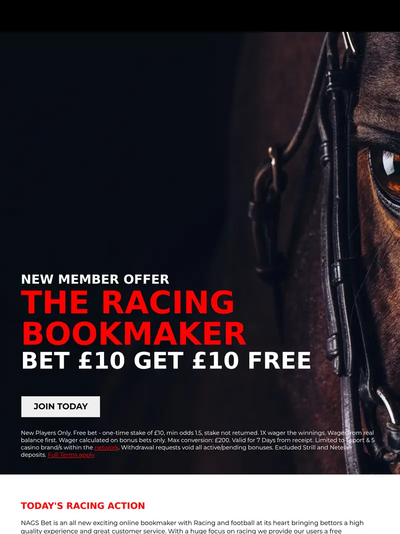 Nags Bet - homepage (tablet)