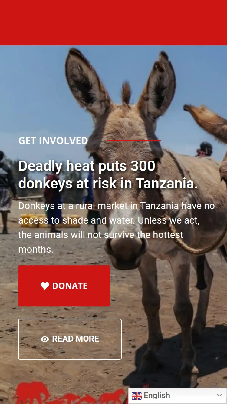 Networkforanimals - homepage (mobile)