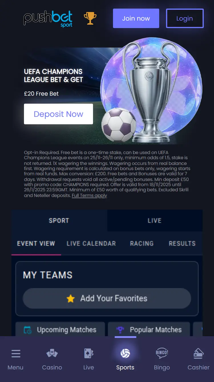 Push Bet - homepage (mobile)