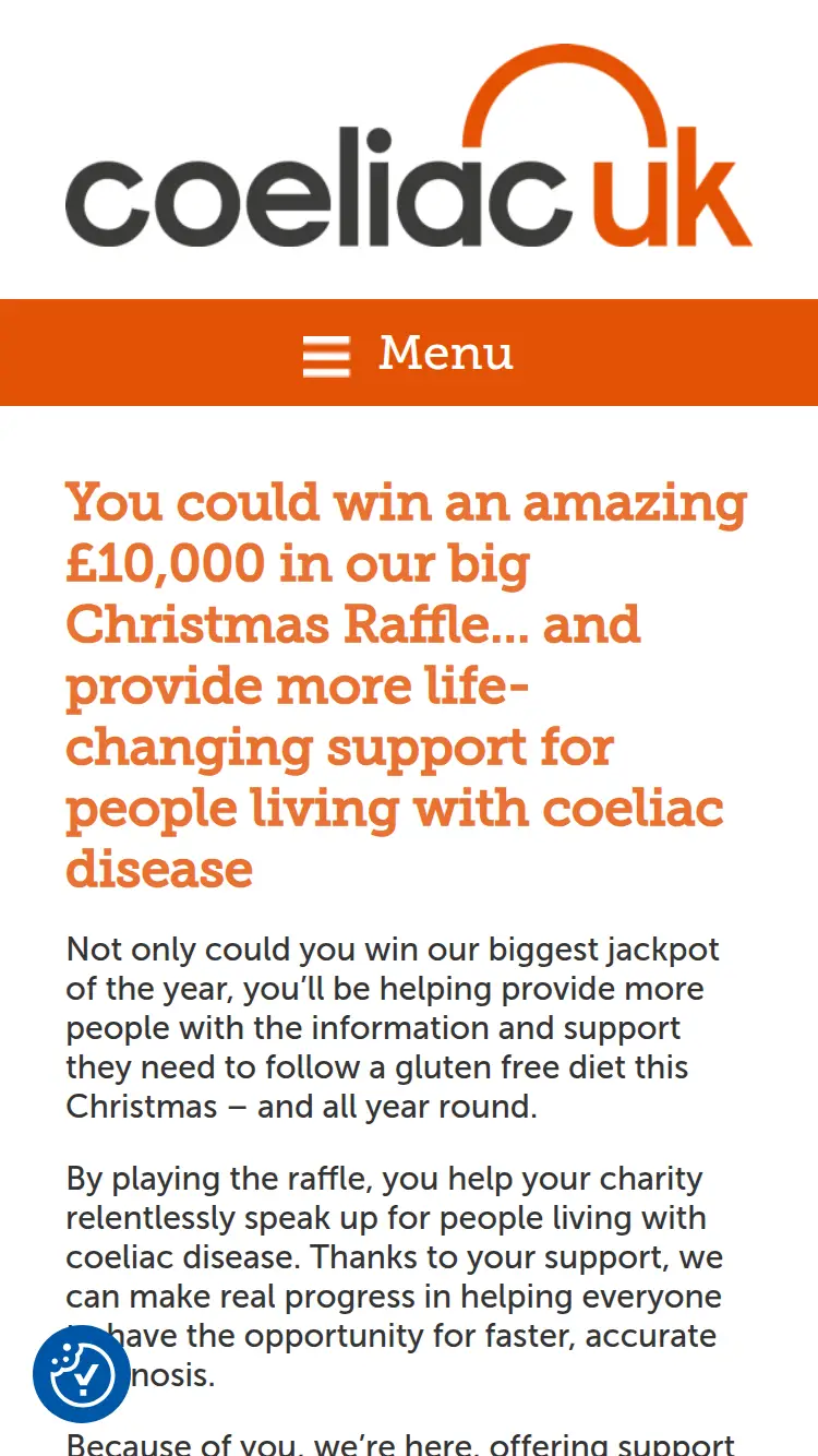 Raffle Player - homepage (mobile)