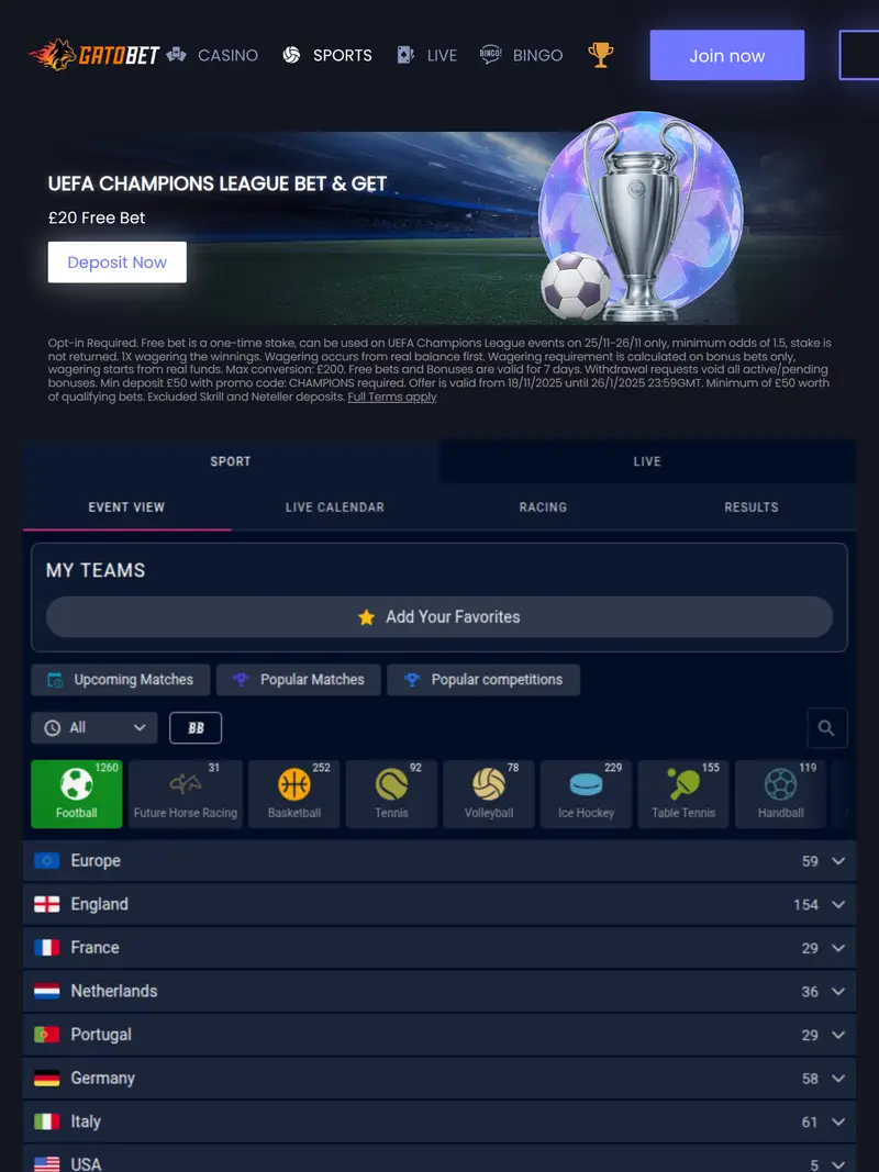 Gato Bet - homepage (tablet)