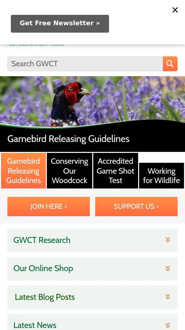 Gwct - homepage (mobile)