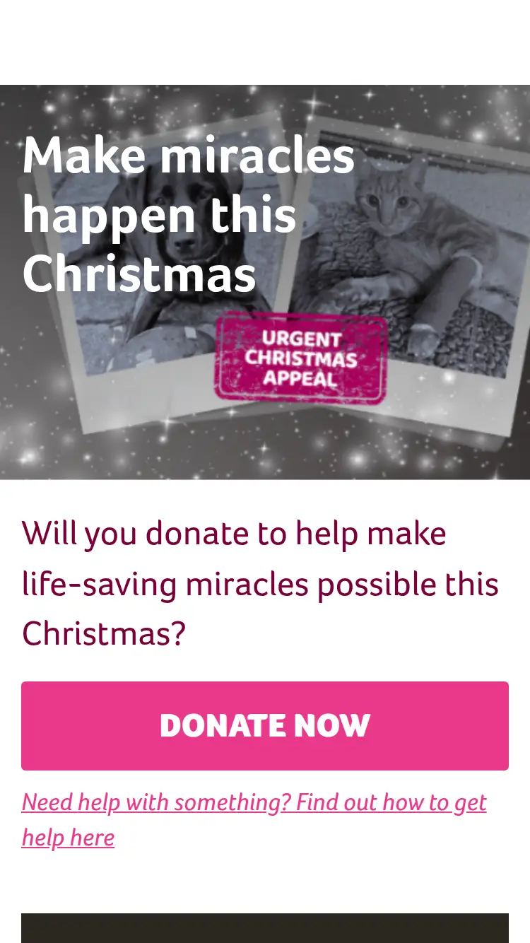 Pdsa - homepage (mobile)