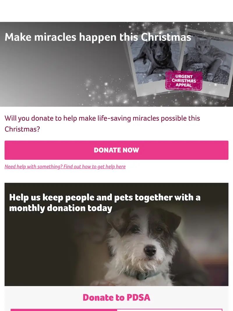 Pdsa - homepage (tablet)