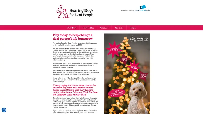 Raffle Player - homepage (desktop)