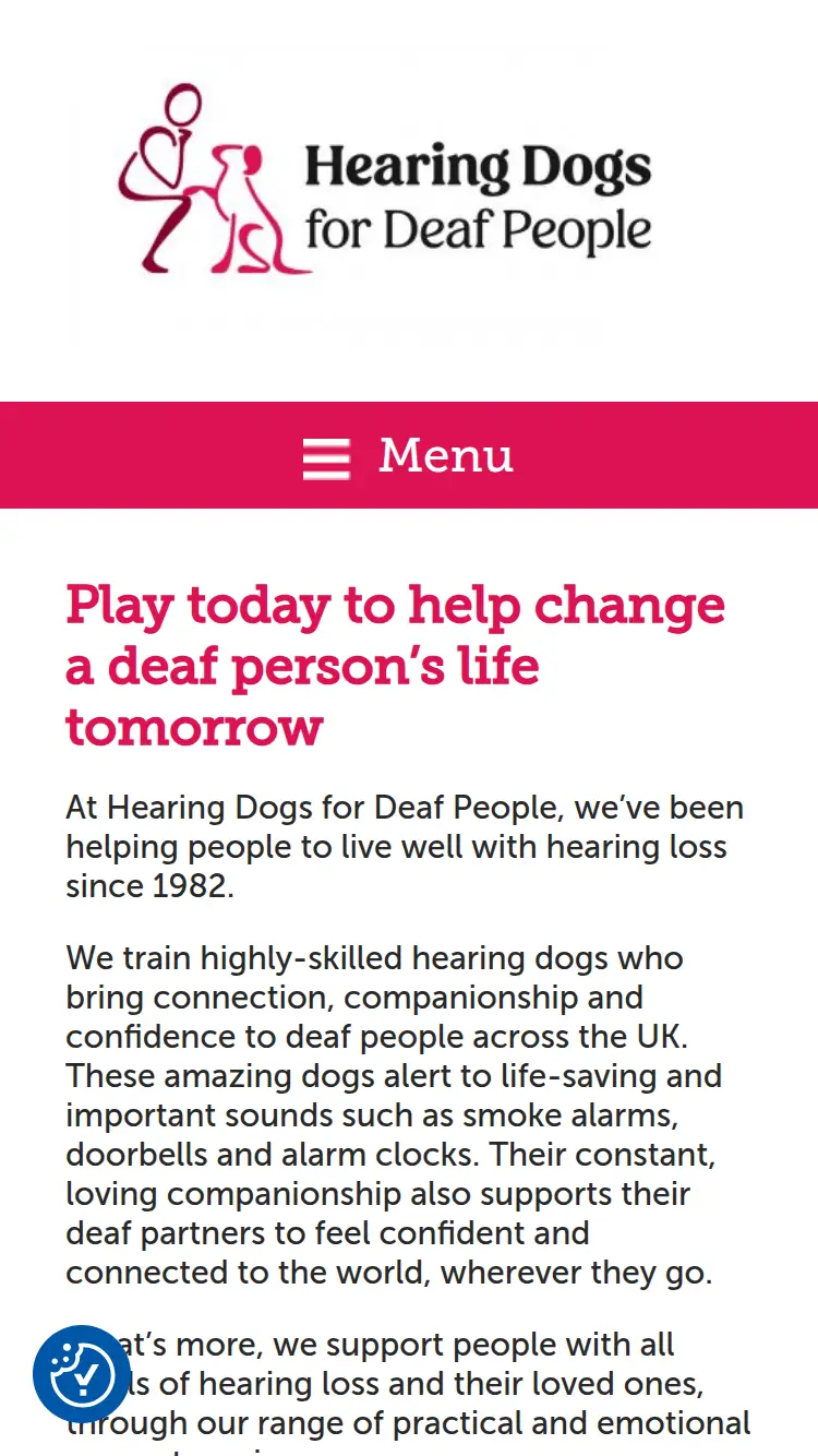 Raffle Player - homepage (mobile)