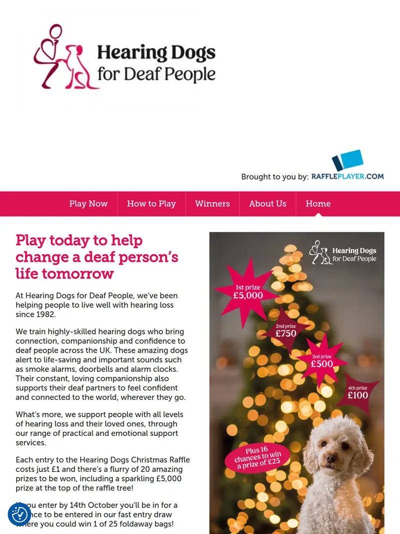 Raffle Player - homepage (tablet)