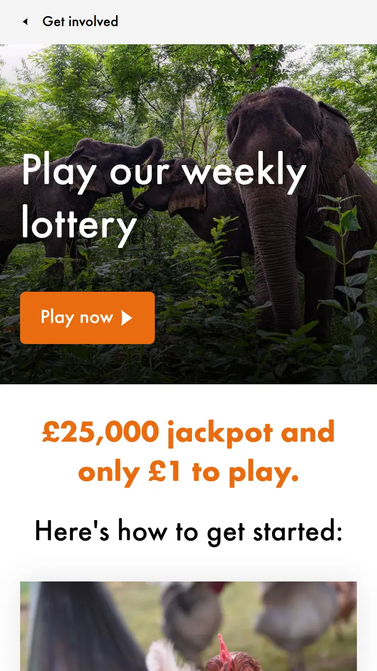 World Animal Protection - homepage (mobile)