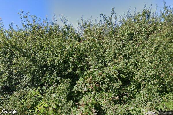 Street View of Woolacombe Bay Holiday Village Limited