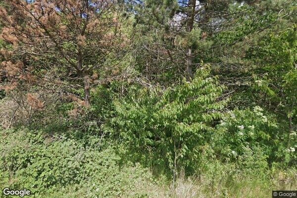 Street View of Doublerhyme Limited